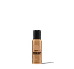 Continuous Prep & Set Mist+